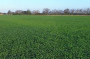 PHOTO-2025-07-17-18-12-10